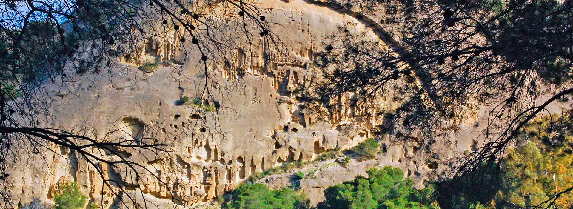 Alfonso-trece-caminito-rey